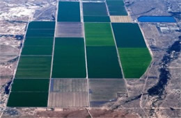 Aerial Photograph of Agricultural Fields