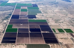 Aerial Photograph of Agricultural Fields