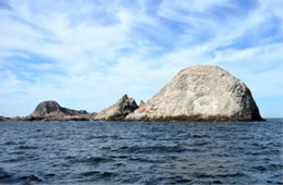 Farallon Islands