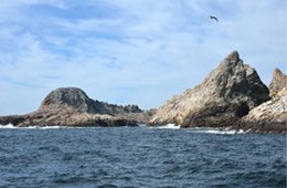 Farallon Islands