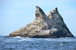 Farallon Islands