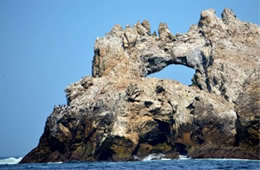 Farallon Islands