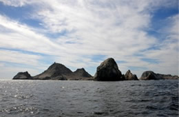 Farallon Islands