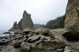 Mora Beach Olympic NP Washington