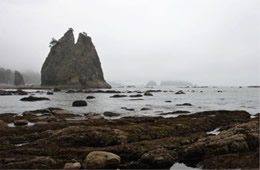 Mora Beach Olympic NP Washington