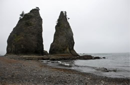 Mora Beach Olympic NP Washington