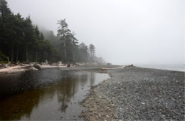 Mora Beach Olympic NP Washington