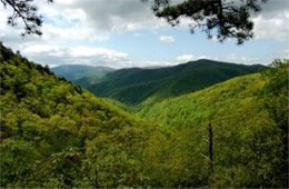 Blue Ridge Valley