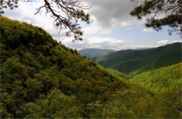 Blue Ridge Valley