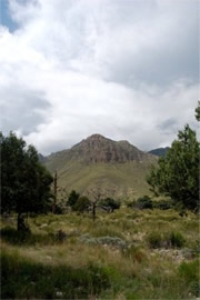 Guadalupe Mountains