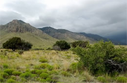 Guadalupe Mountains