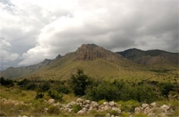 Guadalupe Mountains