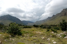 Guadalupe Mountains