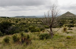 Guadalupe Mountains