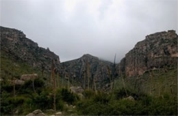 Guadalupe Mountains