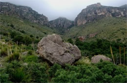 Guadalupe Mountains