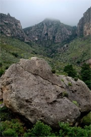 Guadalupe Mountains