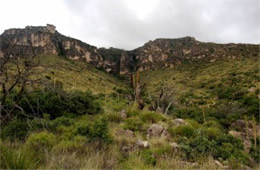 Guadalupe Mountains