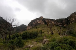 Guadalupe Mountains