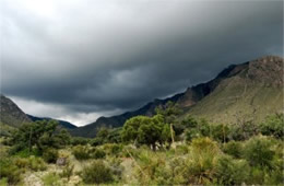 Approaching Storm Clouds