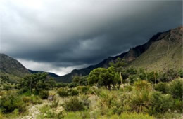 Approaching Storm Clouds