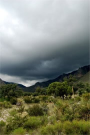 Approaching Storm Clouds