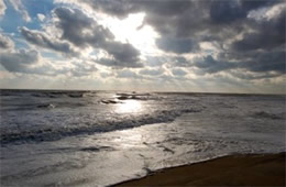 Outer Banks Surf