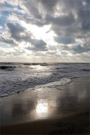 Outer Banks Surf