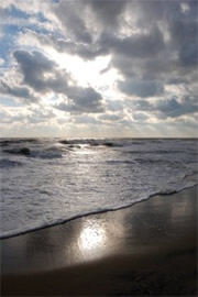 Outer Banks Surf