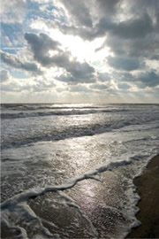 Outer Banks Surf