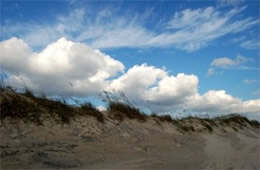 Outer Banks Dunes