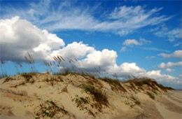 Outer Banks Dunes