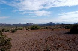 Sonoran Desert