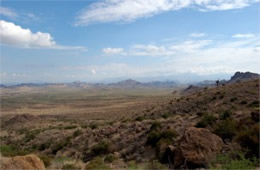 Sonoran Desert