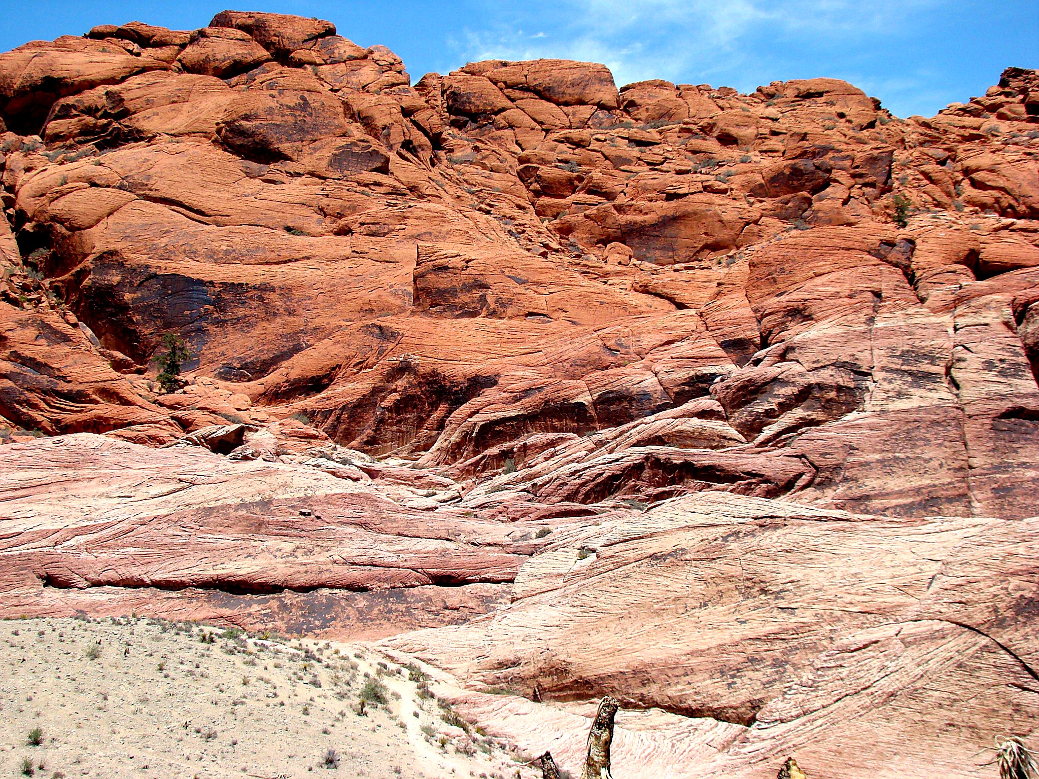 Red Rock Nevada