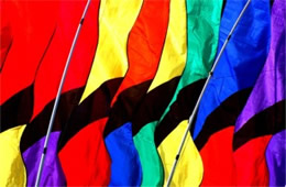 Banner Flags at Kite Festival in DC