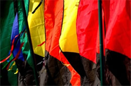 Banner Flags at Kite Festival in DC