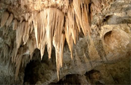 Carlsbad Caverns