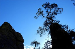 Chiricahua National Monument