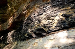 Exposed Coal Vein