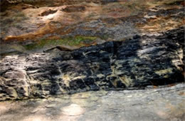 Exposed Coal Vein