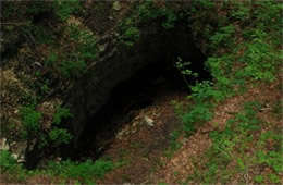 Mammoth Cave