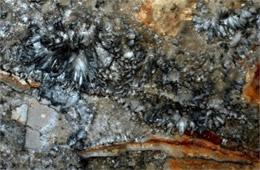 Mammoth Cave Formations - Gypsum Flowers