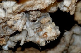 Mammoth Cave Gypsum Formations