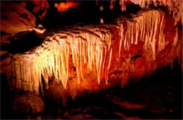 Mammoth Cave