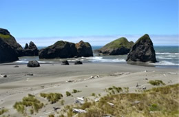 Meyers Beach Oregon Coast