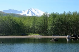 Mount St Helens