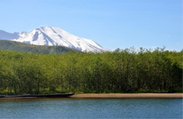 Mount St Helens