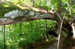 Needle Arch, Big South Fork NRR