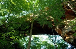 North Twin Arch, Big South Fork NRR